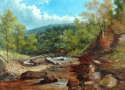 Posforth Ghyll, Bois de Bolton - William Mellor